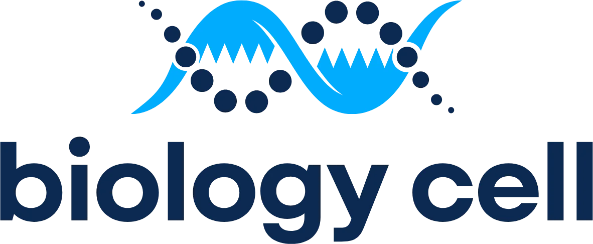 logo-b